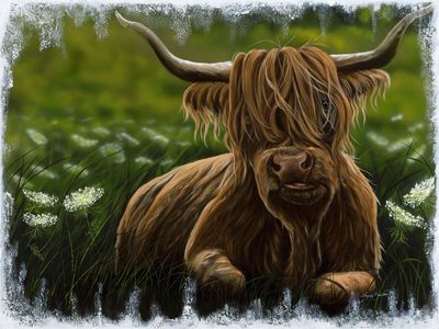 Lazy Moo   36X48&quot; Giclée