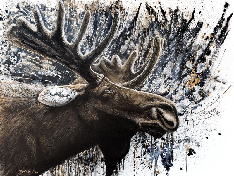 Lured Moose 36X48&quot; Giclée