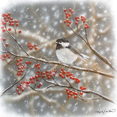 Snowberry bird 2-12X12&quot;  Art Print