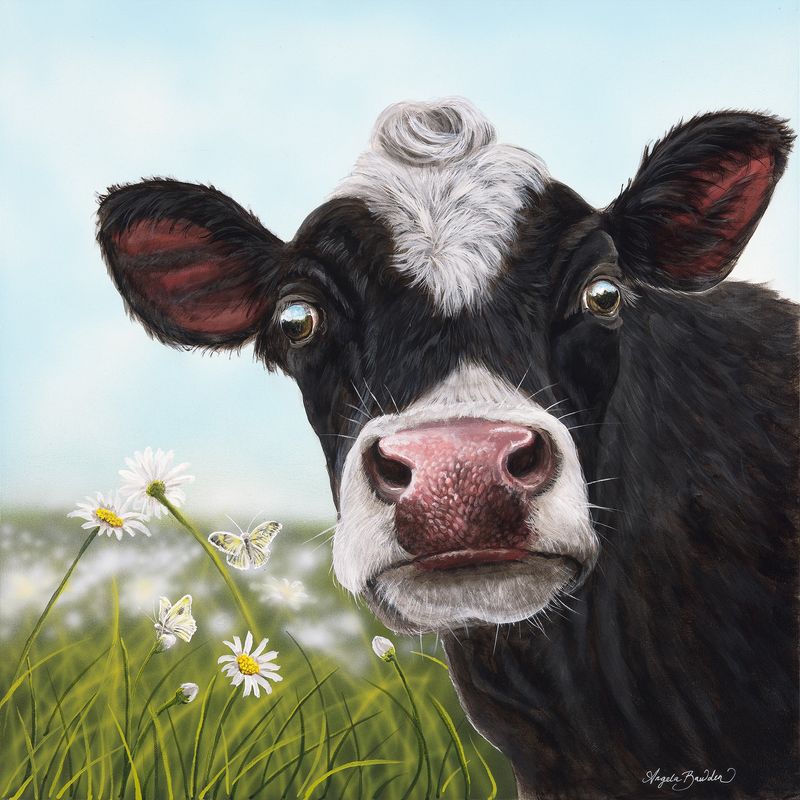 Daisy Moo 12X12" Art Print