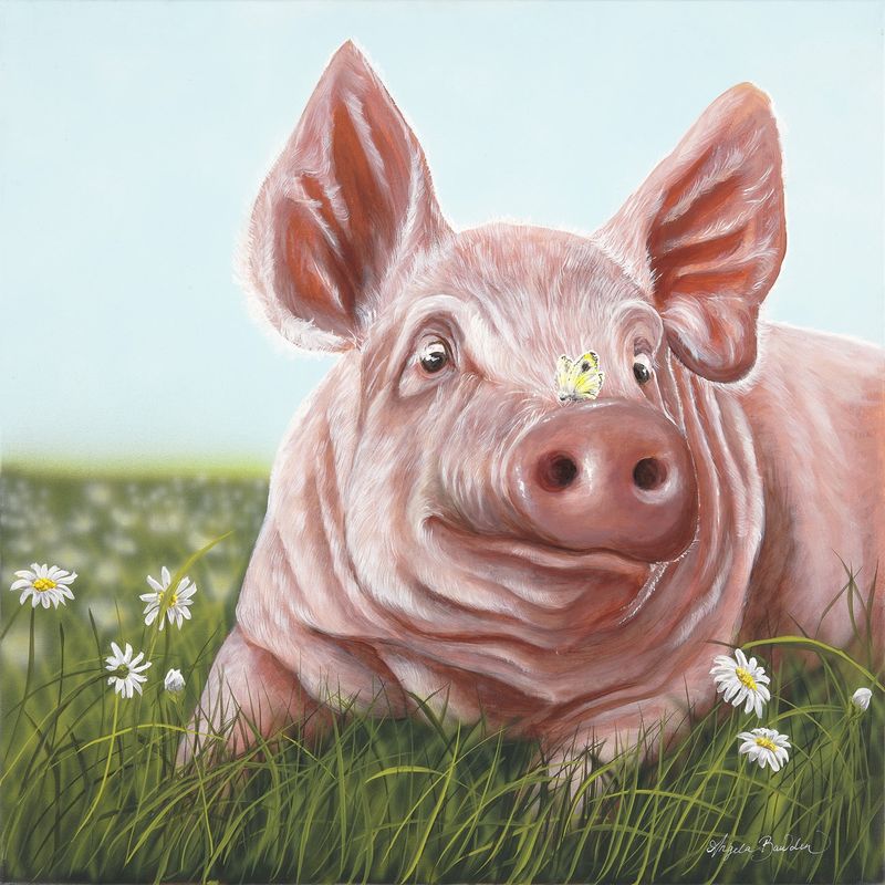 Slim Daisy 12X12 Art Print