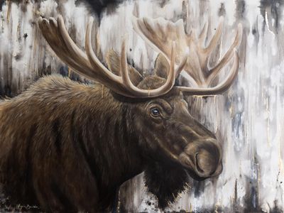 Aspen Moose 36X48&quot; Giclée