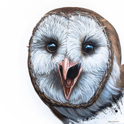 Hoot&#39;n Original Painting 24X24&quot;