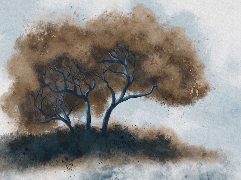 Through The Trees 30X40&quot; Giclée