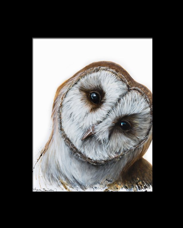 Curious 11X14 with 16X20 mat