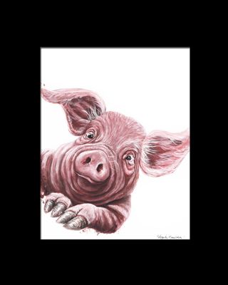 This Little Piggies Toes 11X14 in 16X20 mat print