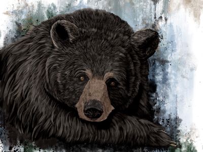 Moment Of Tranquility Art Print