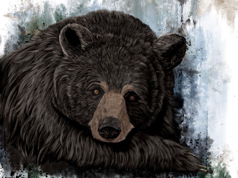 Moment Of Tranquility Art Print