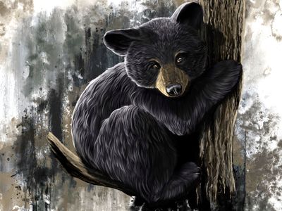 Little Climber 36X48&quot; Giclée