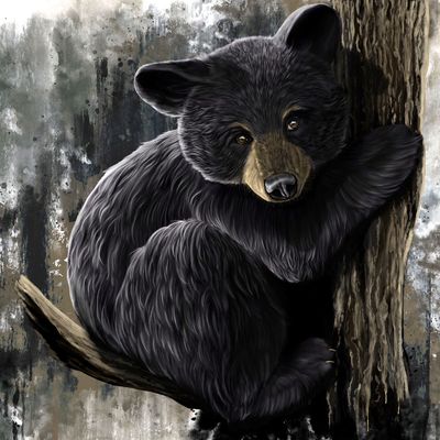 Little Climber 36X36&quot; Giclée