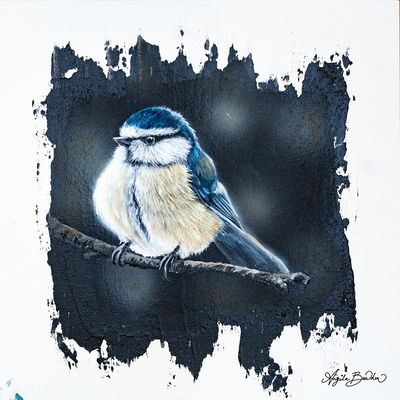 Quiet Perch: Blue Tit