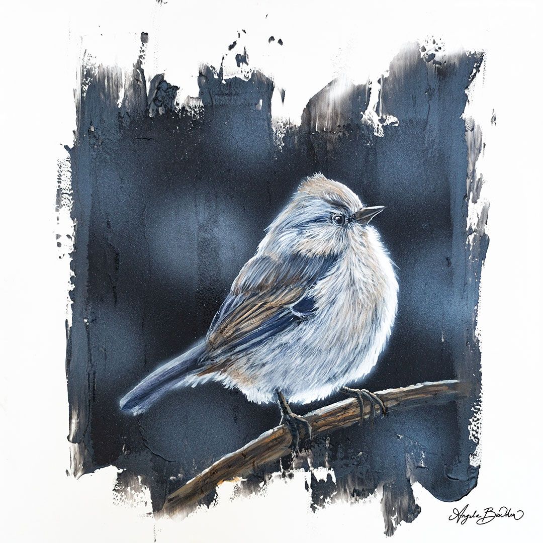 Quiet Perch: Sparrow 1
