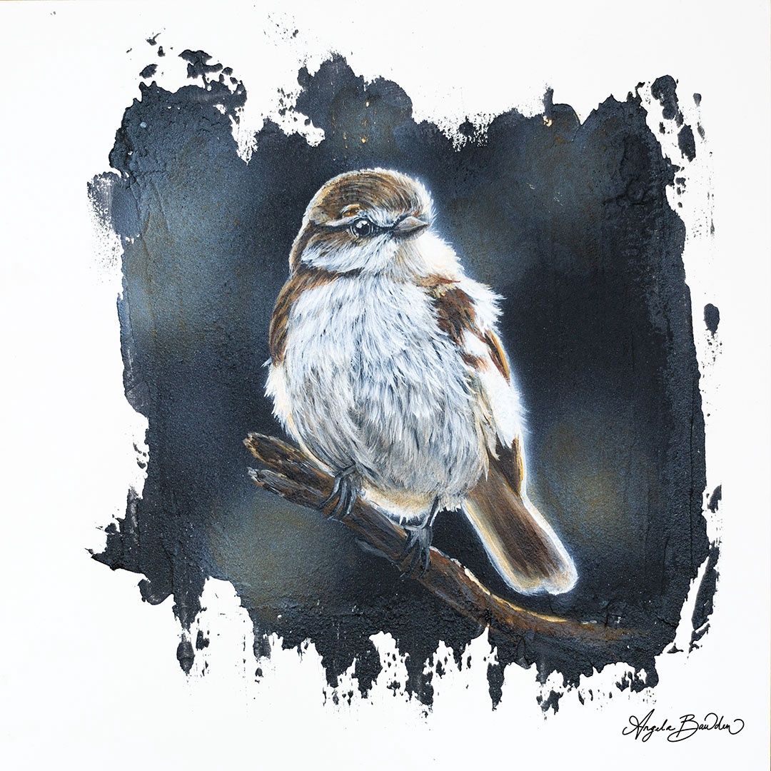 Quiet Perch: Sparrow 2