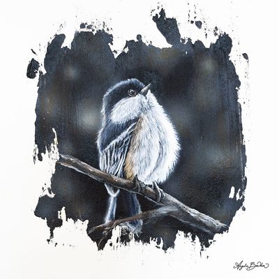 Quiet Perch: Chickadee