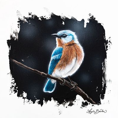 Quiet Perch: Eastern Blue Bird