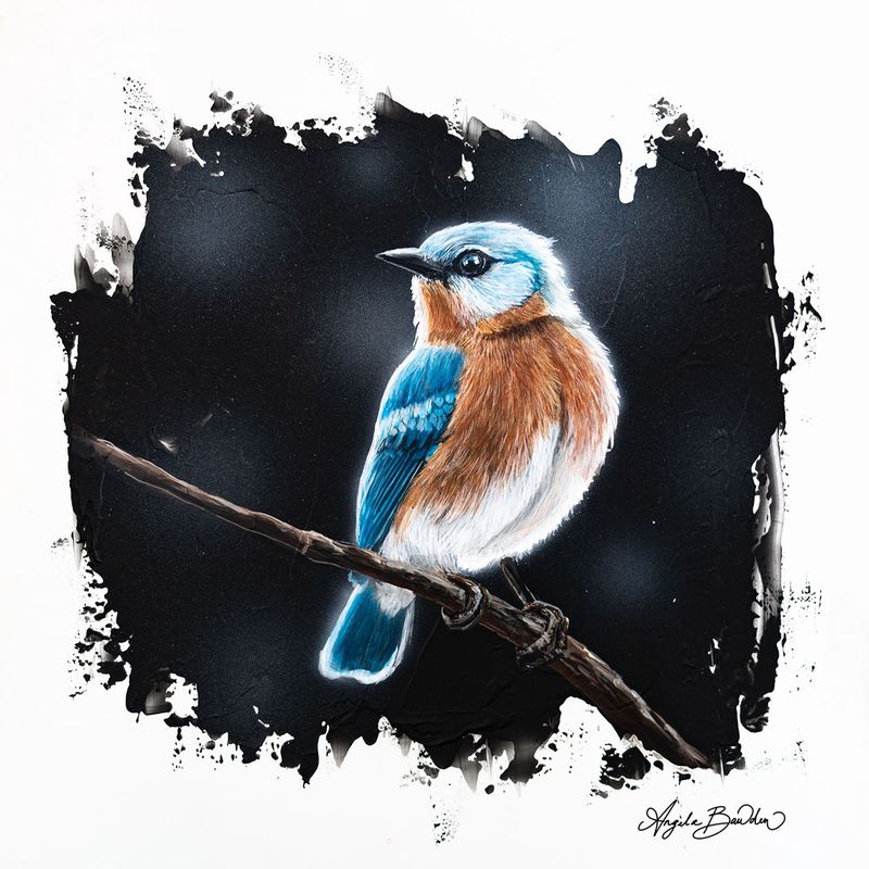 Quiet Perch: Eastern Blue Bird by Angela Bawden 12X12" Art Print
