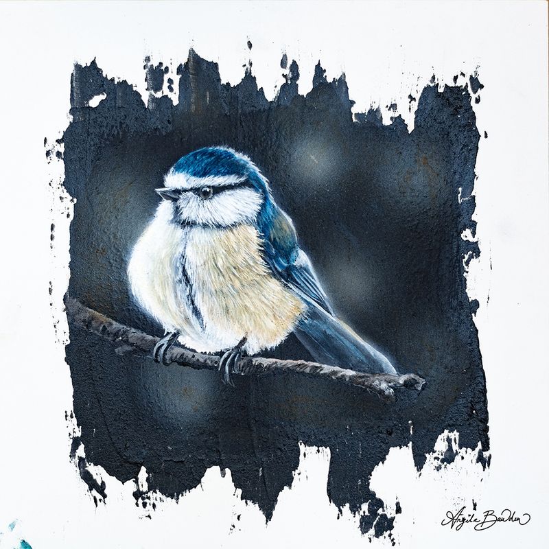 Quiet Perch Series: Blue Tit Bird 12X12" Art Print