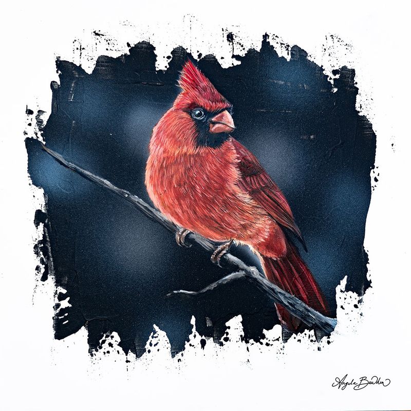Quiet Perch: Red Cardinal 12X12" Art Print