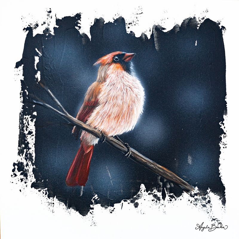 Quiet Perch: Lady Cardinal 12X12" Art Print