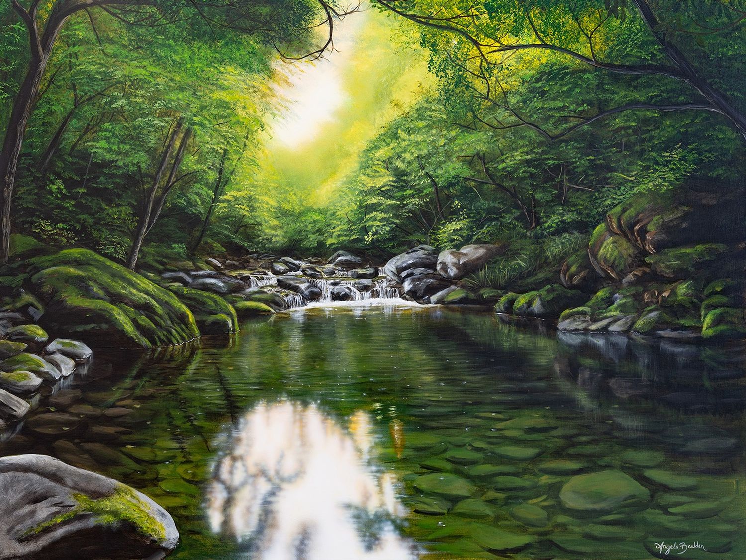 A Quiet Solace