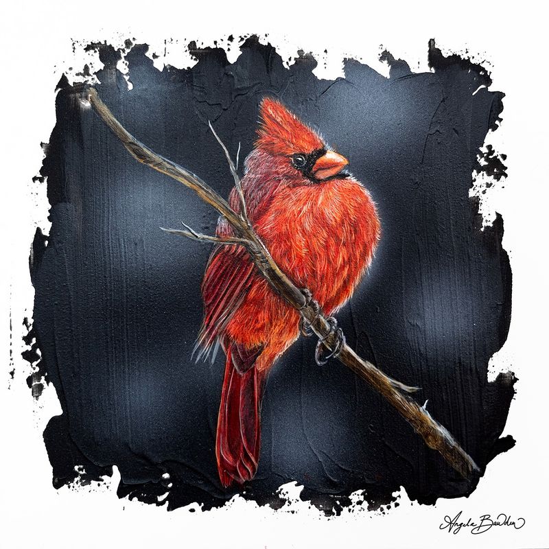 Quiet Perch: Red Cardinal '2' 12X12" Art Print