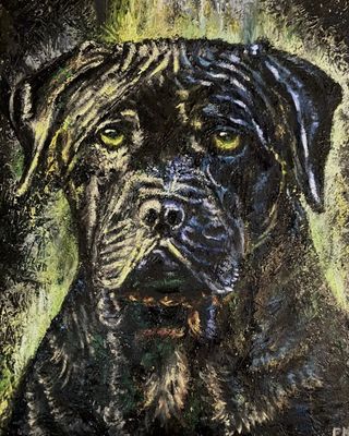 Cane Corso by Philip Myrick