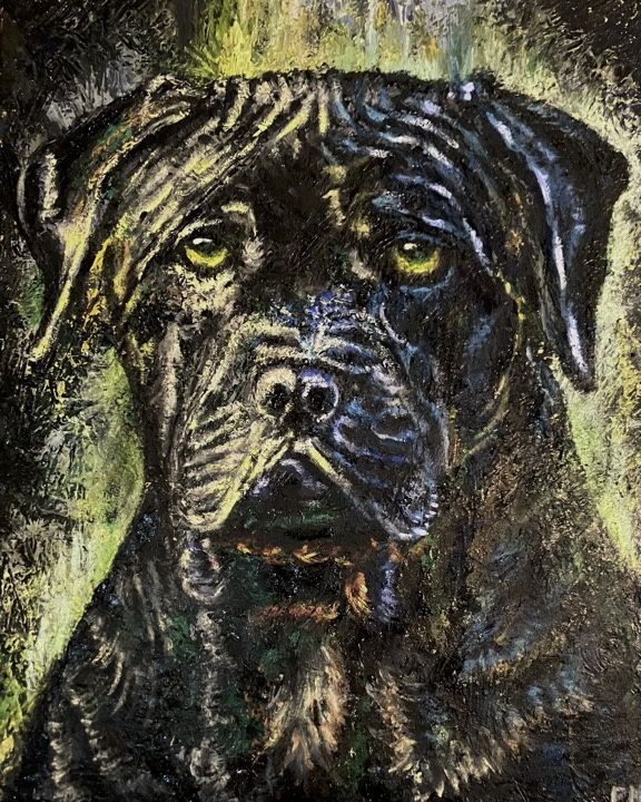 Cane Corso by Philip Myrick