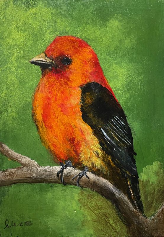Scarlet Tanager bird- Original Mini Painting by Gloria Weiss
