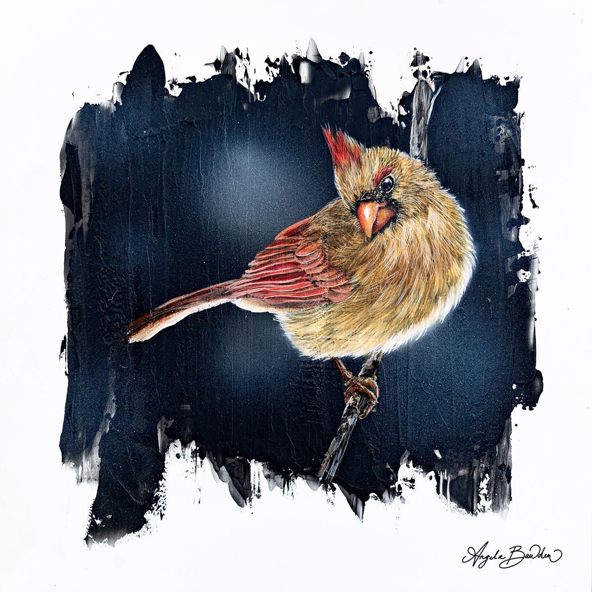 Quiet Perch Series&quot; Lady Cardinal 2-Art Print By Angela Bawden