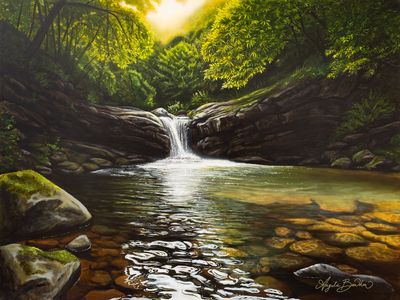 Nature&#39;s Sanctuary