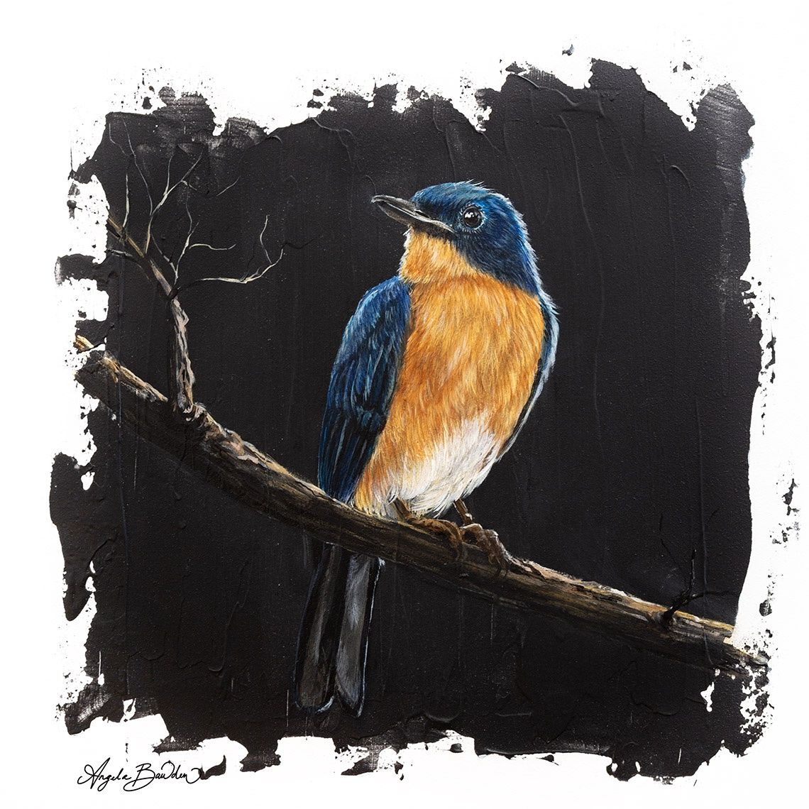 Quiet Perch: Eastern Blue Bird 4 by Angela Bawden