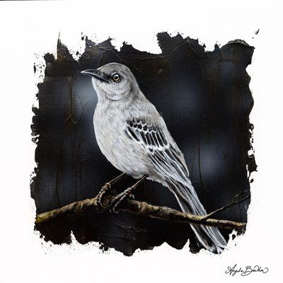 Quiet Perch: Mockingbird art print