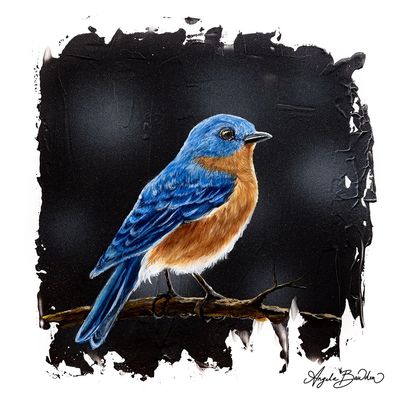 Quiet Perch Series: Eastern Blue Bird 3 12X12&quot; Art Print