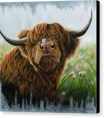 Horses, Cows, Farm Animals