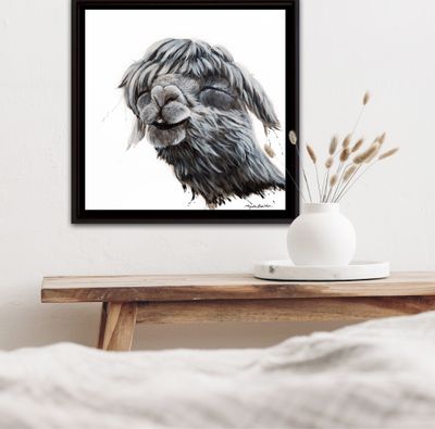 Funny and Quirky Animals