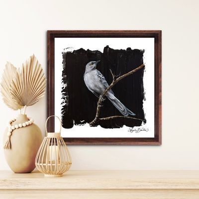 Owls, Birds &amp; Butterflies