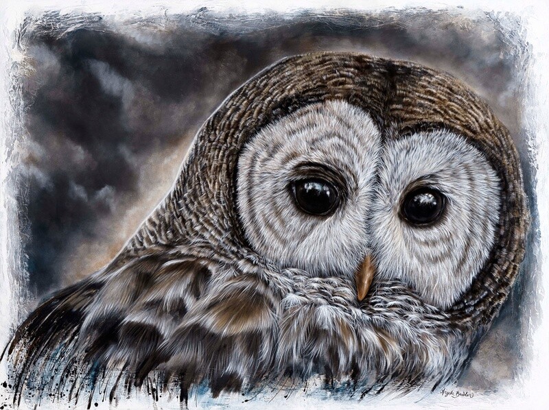 Night Owl 36X48" Special Limited Edition Giclée