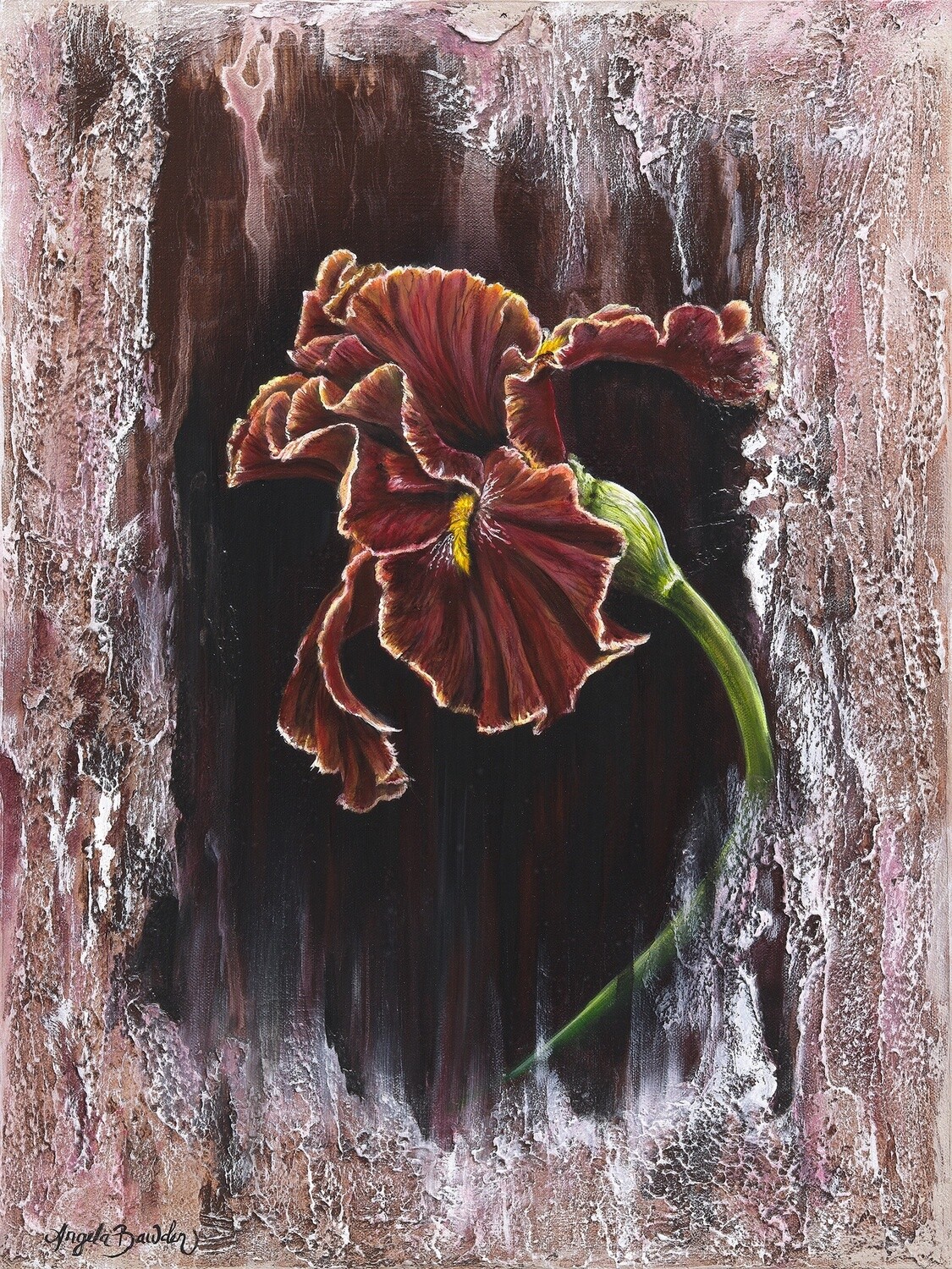 Dancing Iris