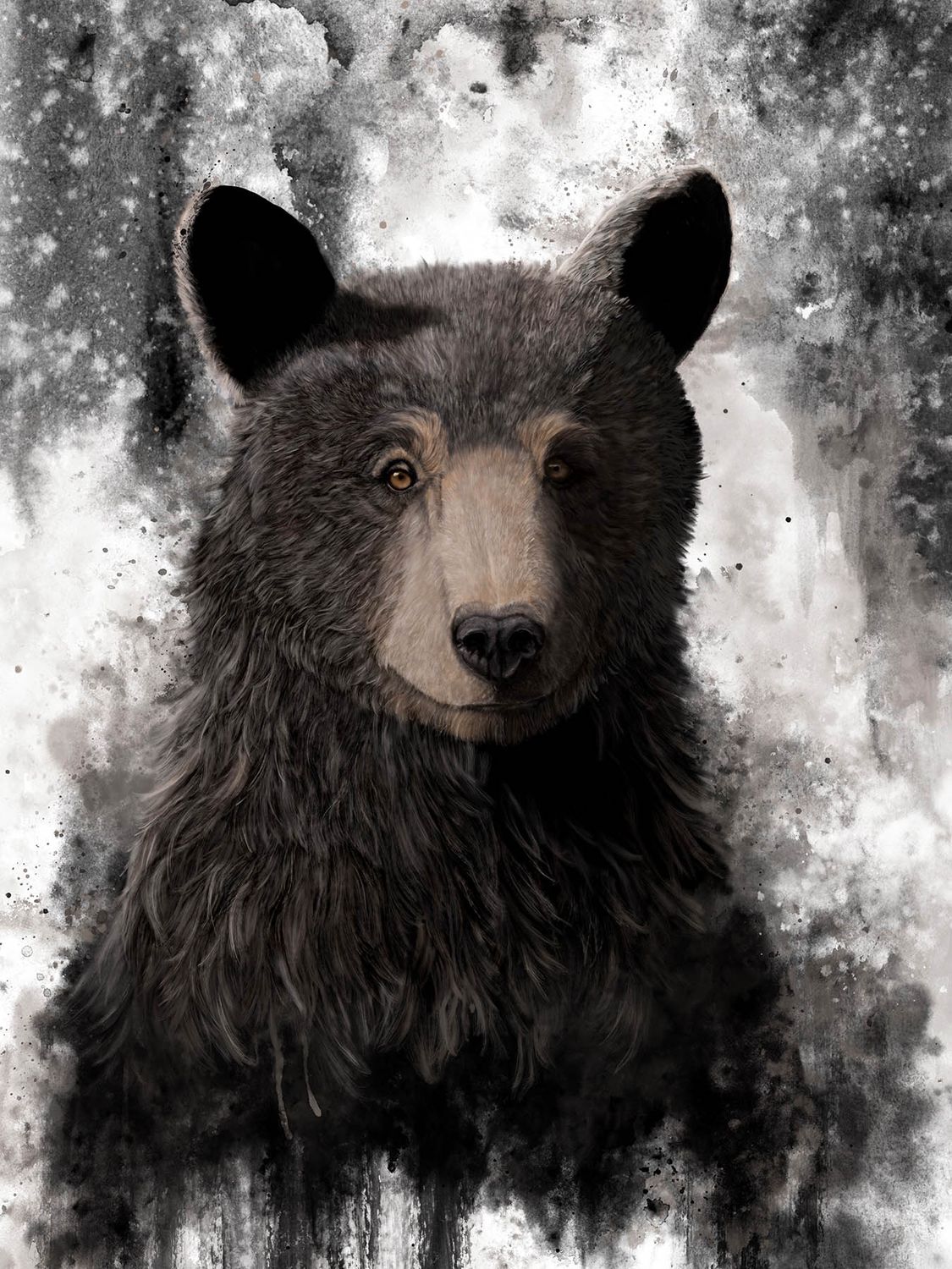 Captivating Curiosity Art Print, Size: 18X24" Art print