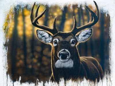 Sunset Stare 48X36" Original Painting