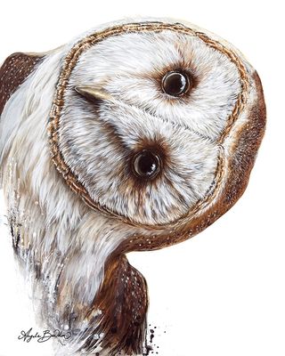 Hoo Are You? Art Print