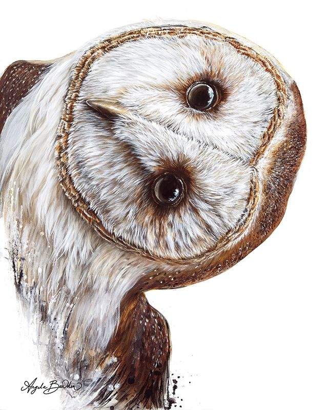 Hoo Are You? Art Print