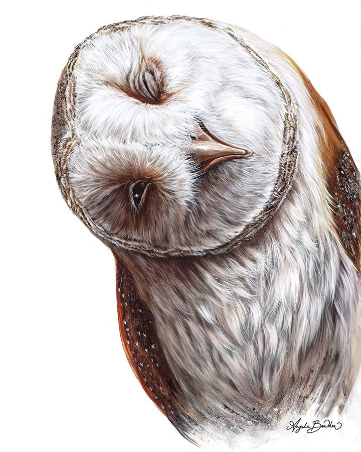 Hooty Pa Tooty Art Print