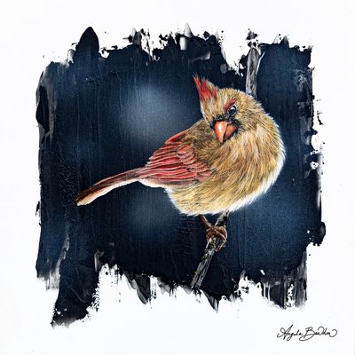 Quiet Perch Series" Lady Cardinal 2-Art Print By Angela Bawden