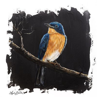 Quiet Perch: Eastern Blue Bird 4 by Angela Bawden