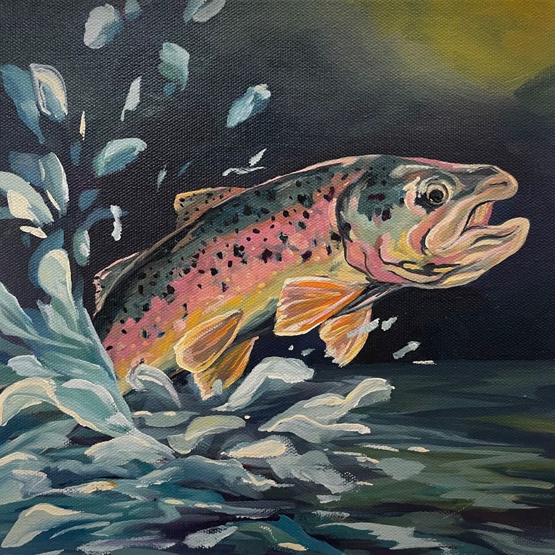 Jumping Rainbow Trout 10"x10 Original Painting