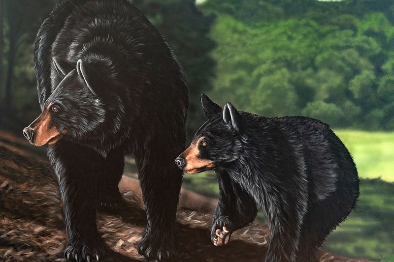 Paw and Pause 32X48" Giclée