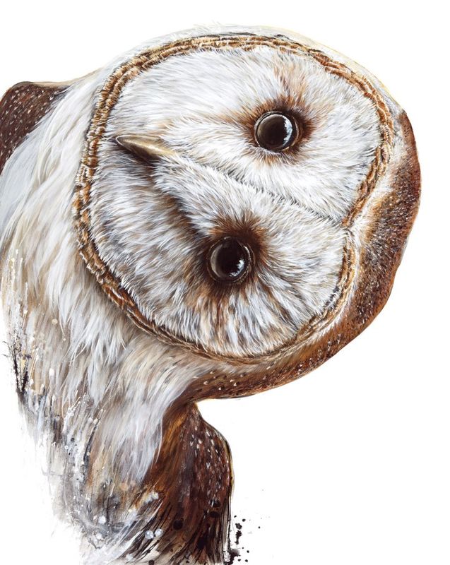 Hoo Are You? 24X30" Giclée