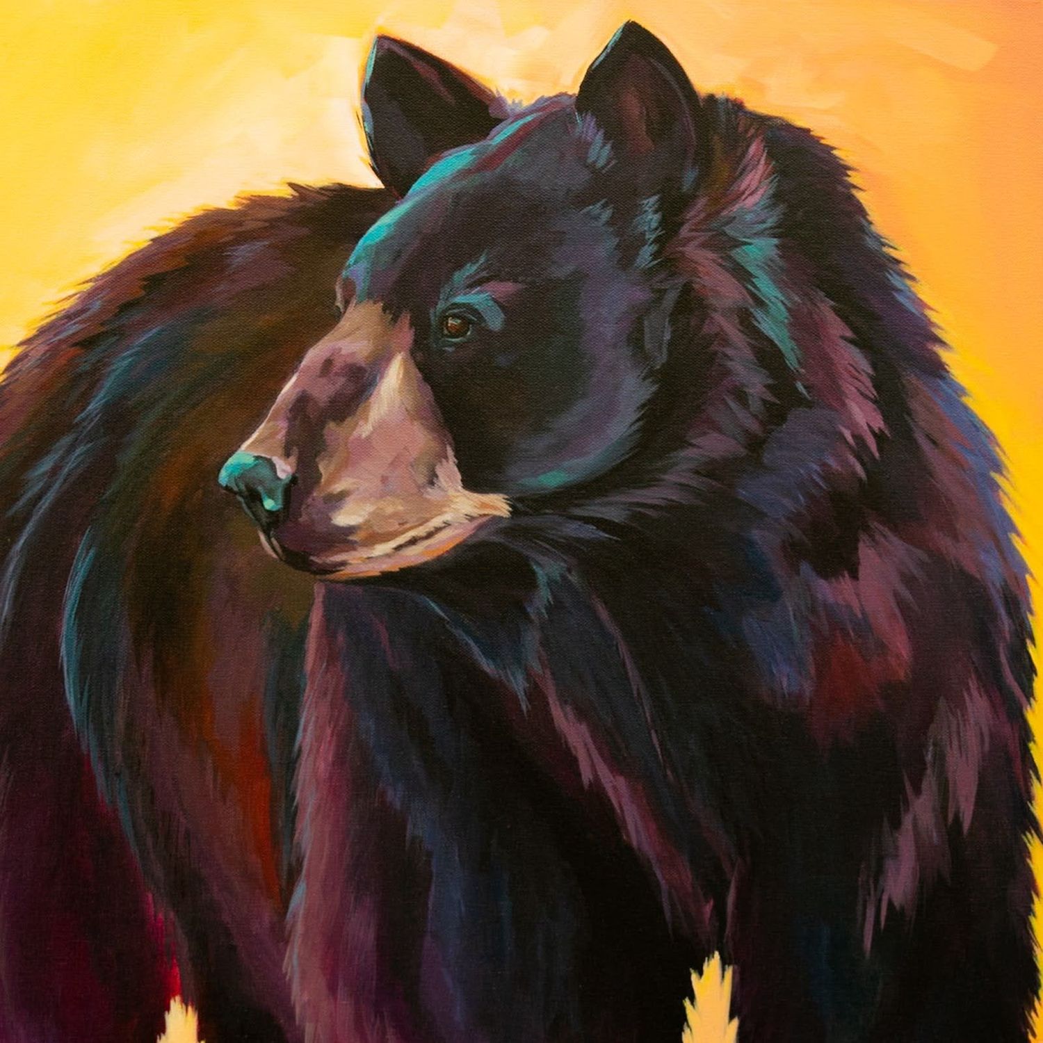 What the Light Carries