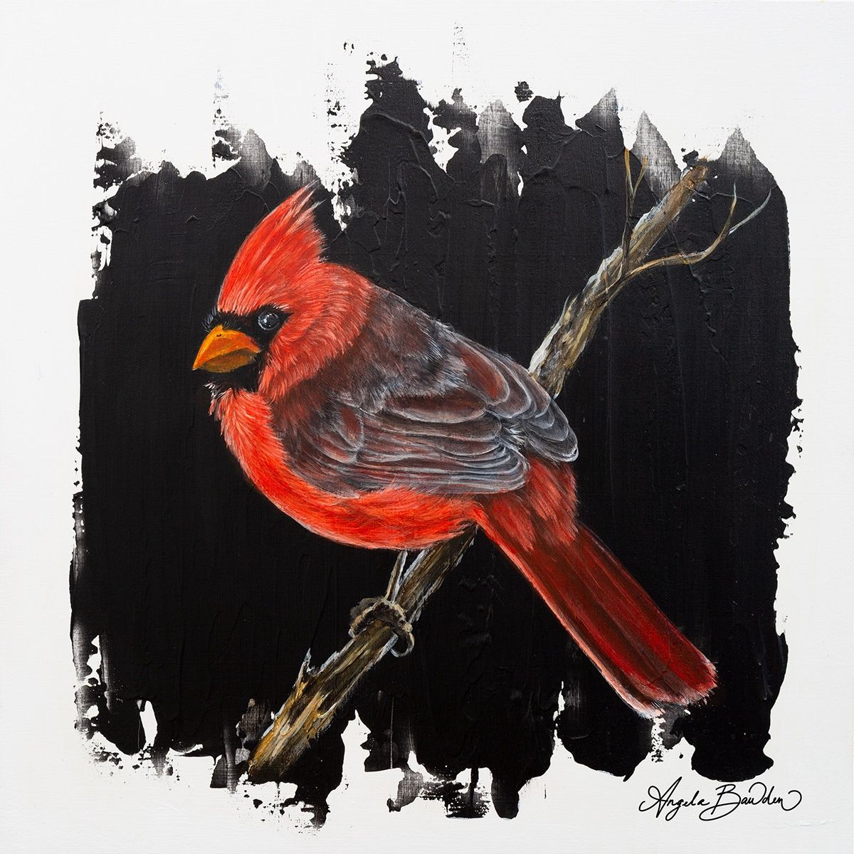 Quiet Perch: Red Cardinal looking back 12X12" Art Print